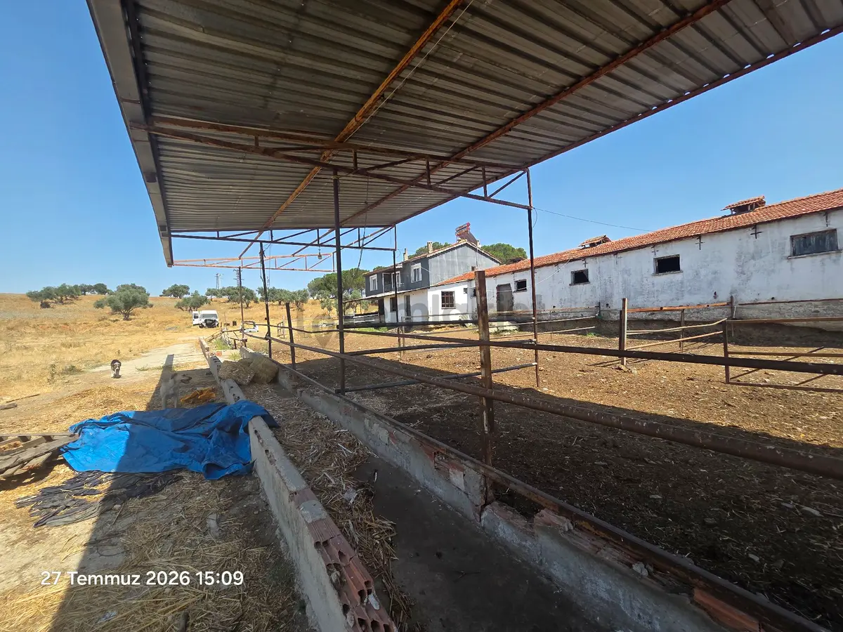 Kemalpaşa, Halilbeyli Ciftlik - 17
