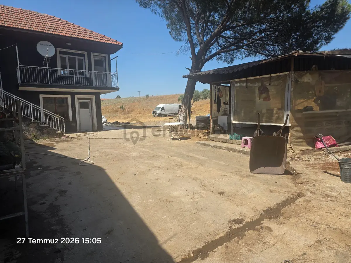 Kemalpaşa, Halilbeyli Ciftlik - 5