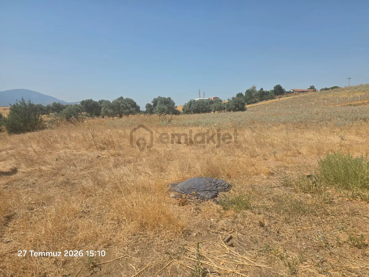 Kemalpaşa, Halilbeyli Ciftlik - 19