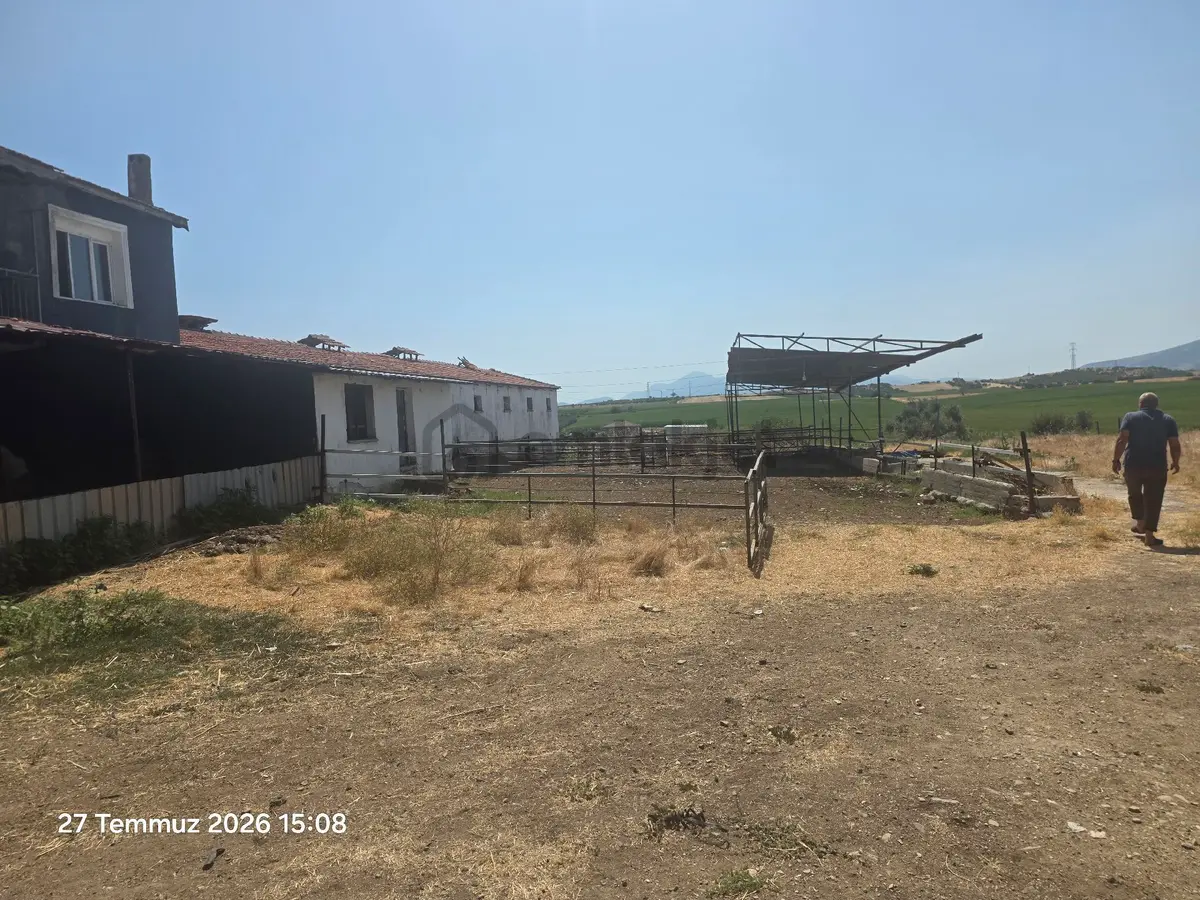 Kemalpaşa, Halilbeyli Ciftlik - 14