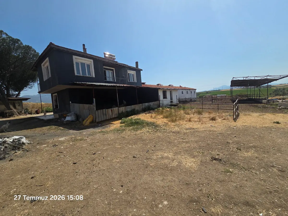 Kemalpaşa, Halilbeyli Ciftlik - 15