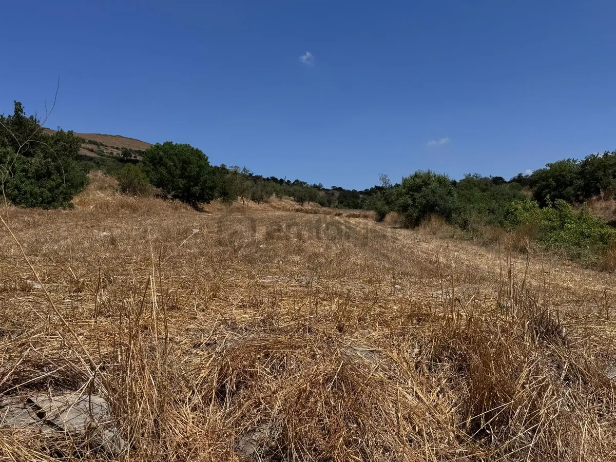 Balıkesir Bigadiç Elyapan Köye Yakın 6841 M2 Satılık Tarla - 3