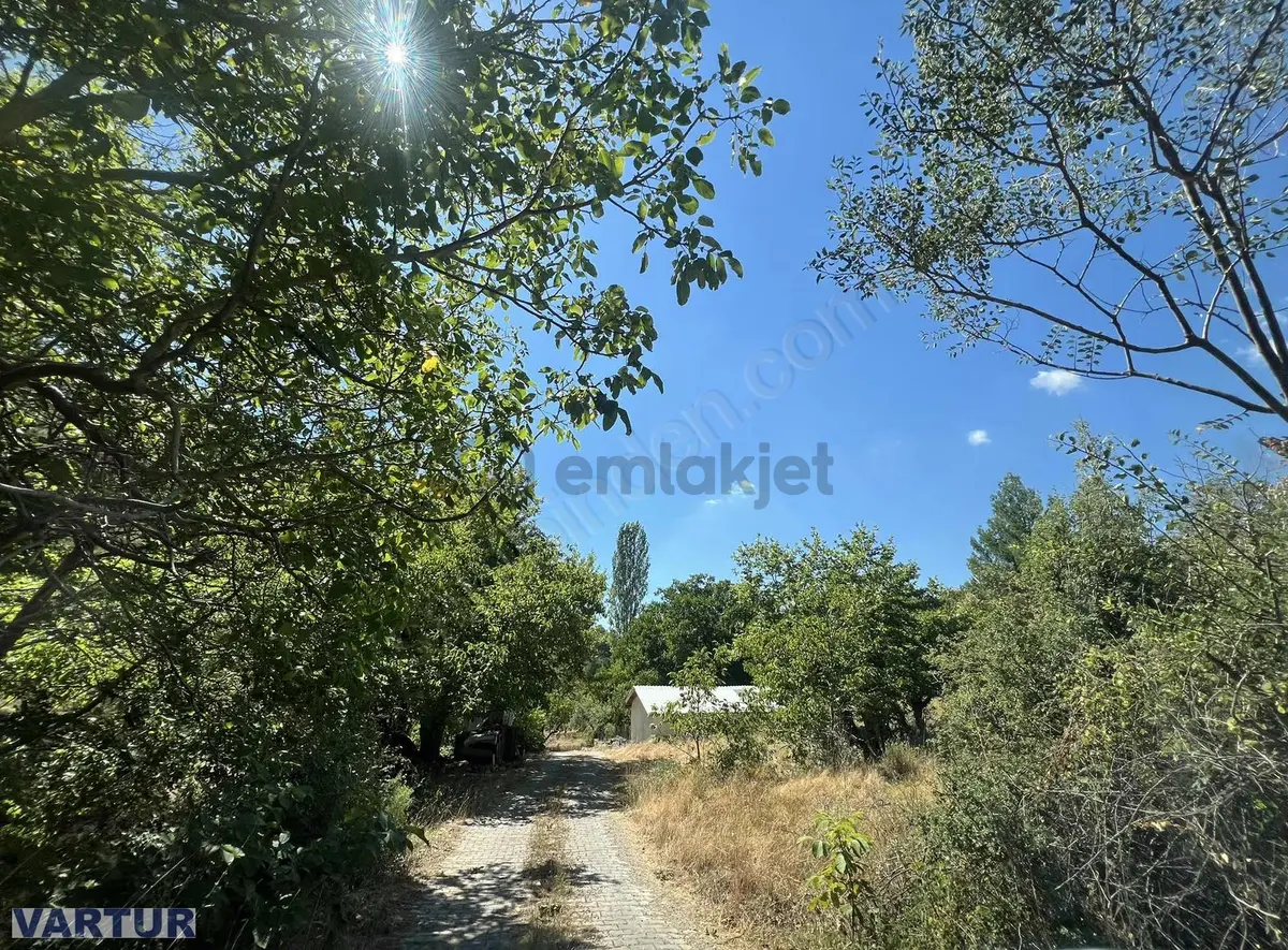 Yayla Koru'da Satılık Müstakil Tarla - 7
