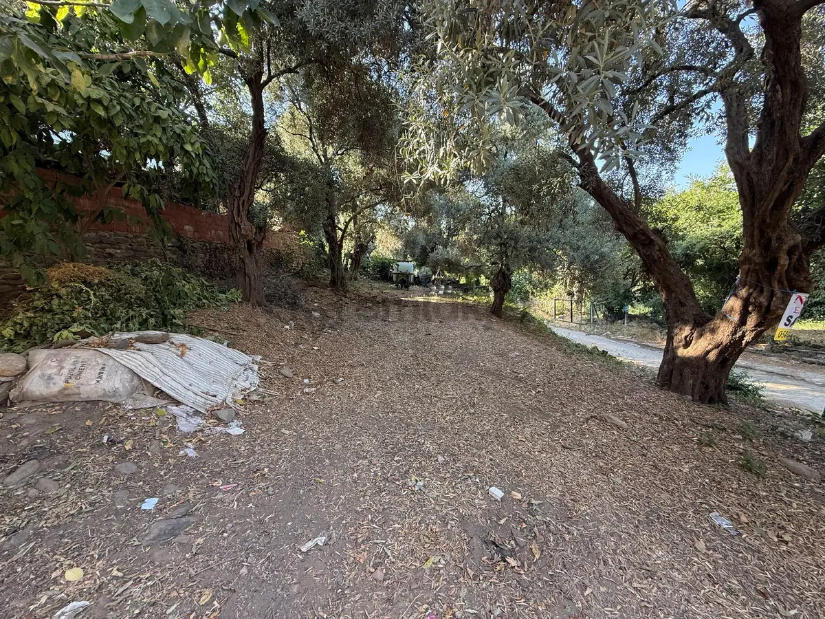 Nursima Emlak'tan Muhteşem Köy Evi - 6