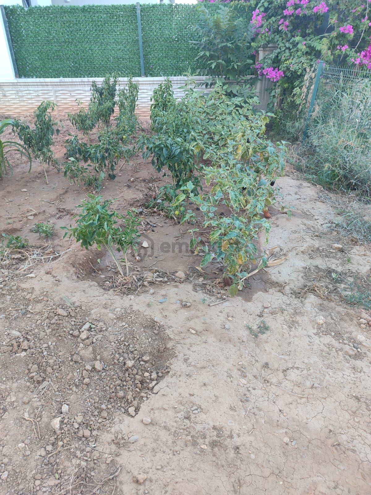 Sahibinden Satılık Tek Parsele Tek Villa - 2