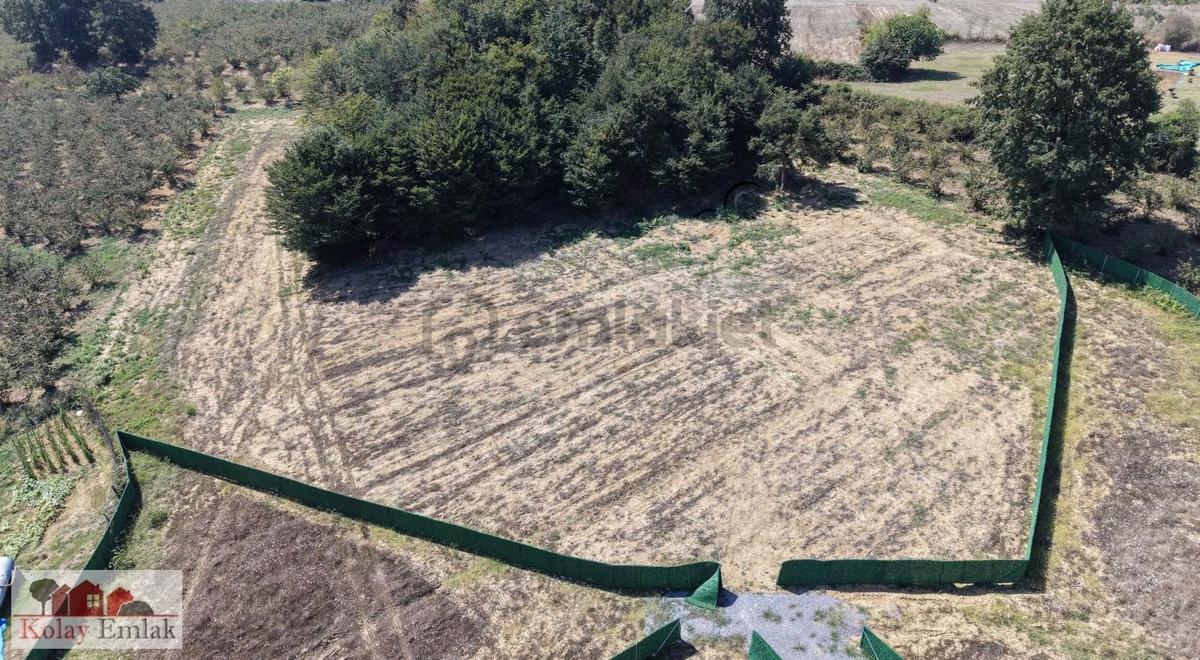 Kandıra Bollu Köyünde Satılık 2b Araziler - 4