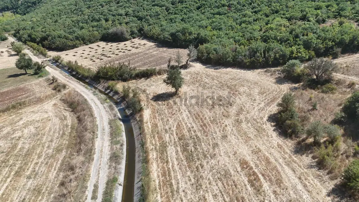 Mir'den Kepsut Karaçaltıda 3,733m2 Satılık Tarla - 11