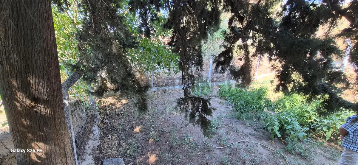 Satılık Bahçe - 5