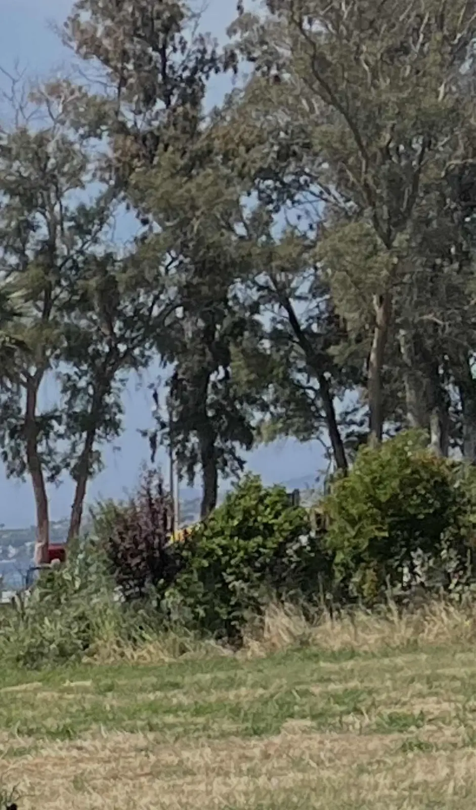 Villa Yapıpmına Uygun Müstakil Tek Tapu Arsa - 3