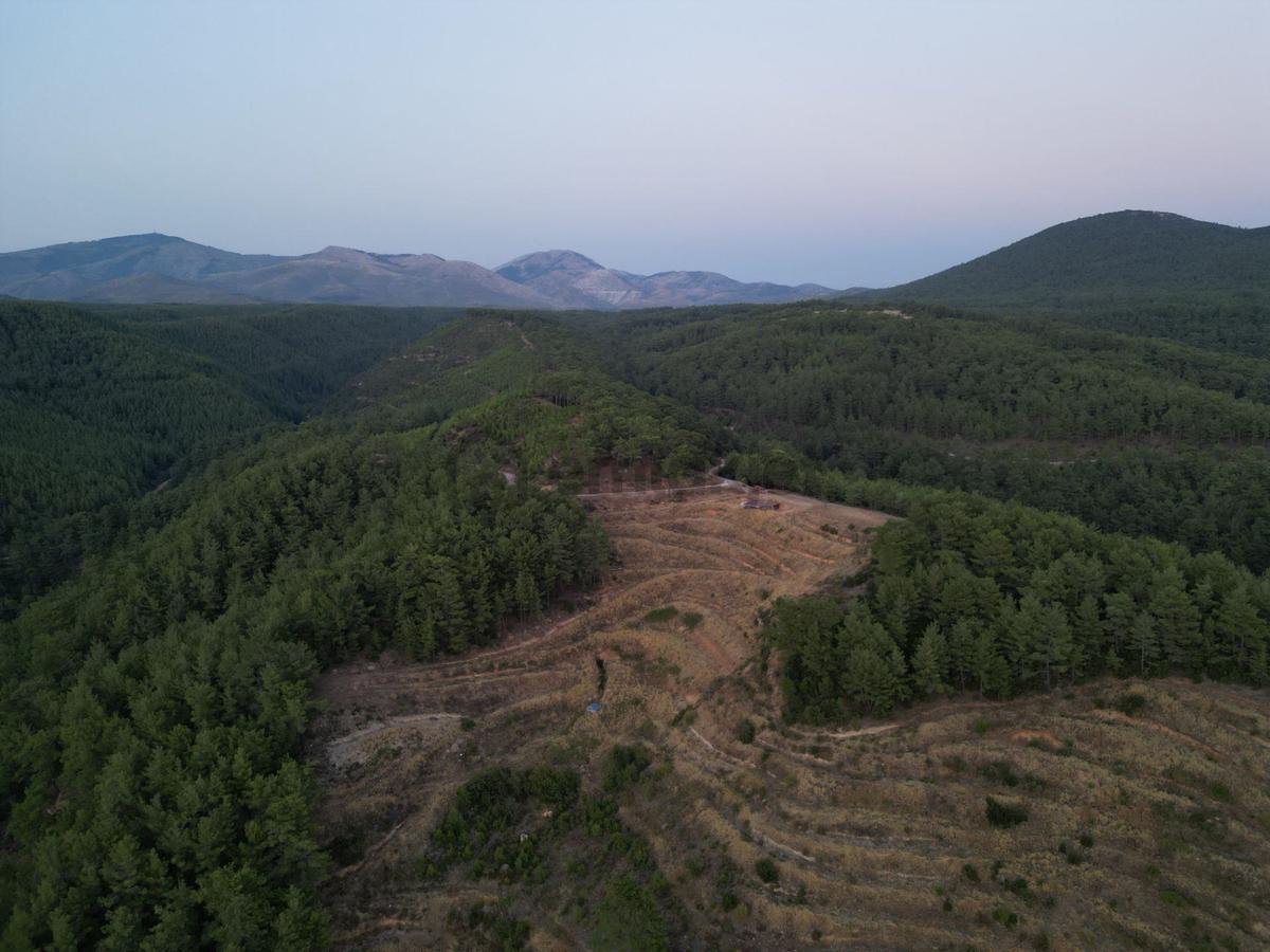 Muğla Akçaova'da Fırsat 36dönüm Satılık Tarla - 28