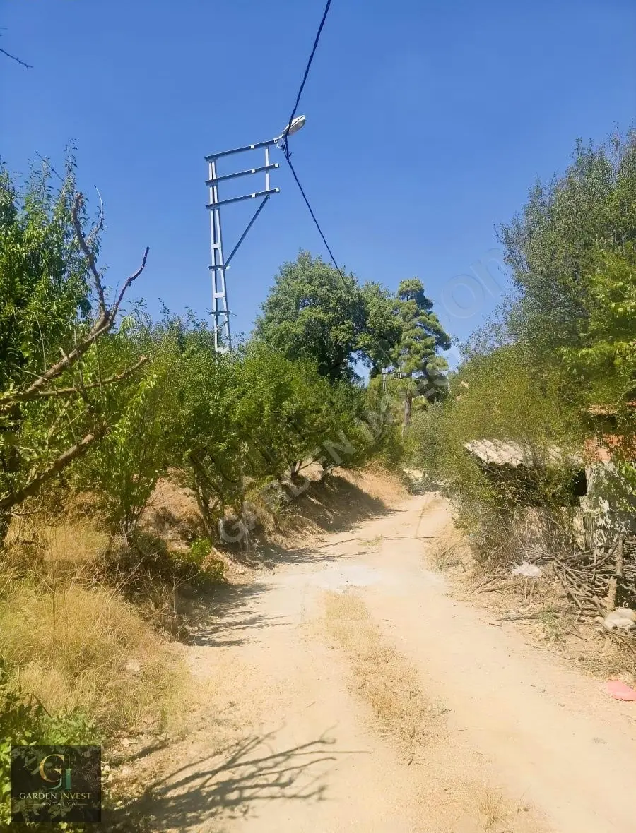 Acillll Satılık Kelepir Erik Bahçesi - 5