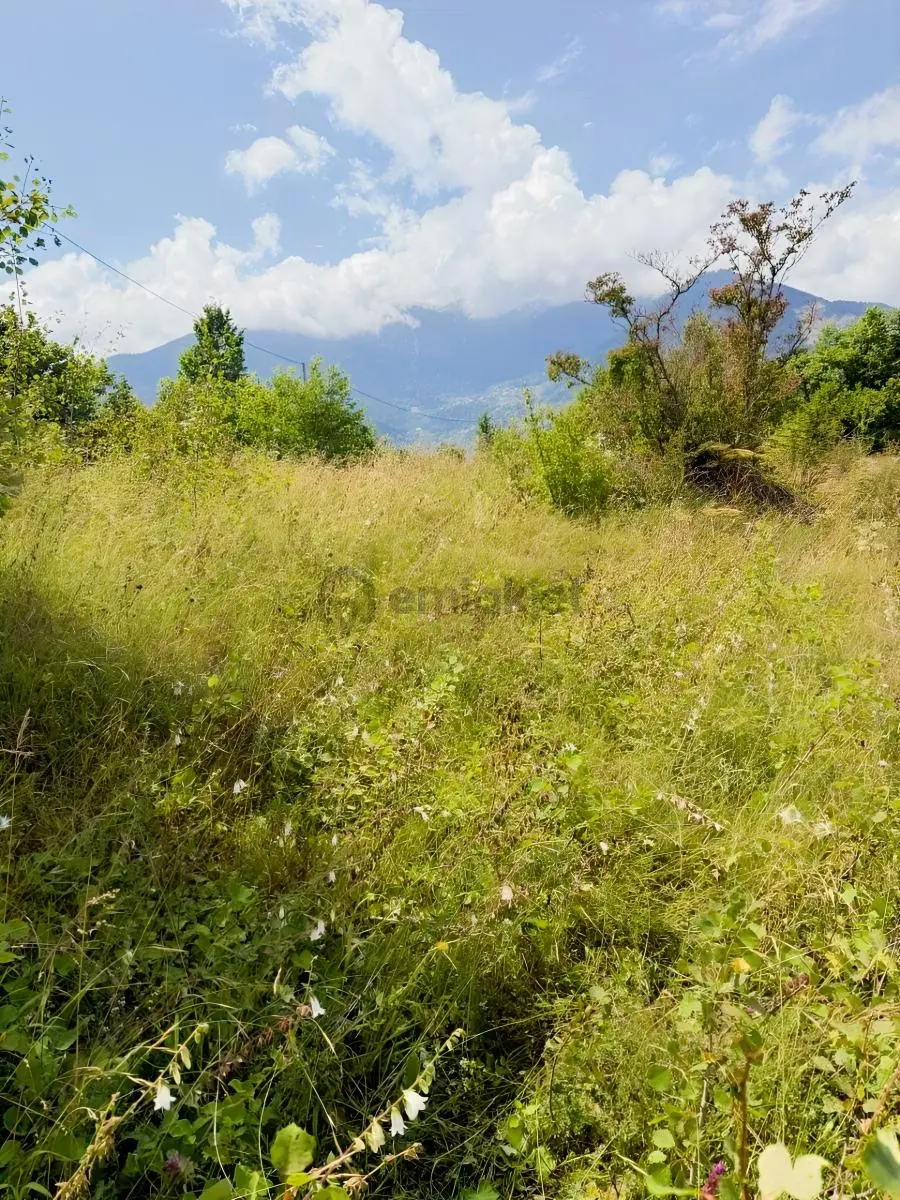 Doğayla İç İçe Değerli Yatırım Fırsatı - 16