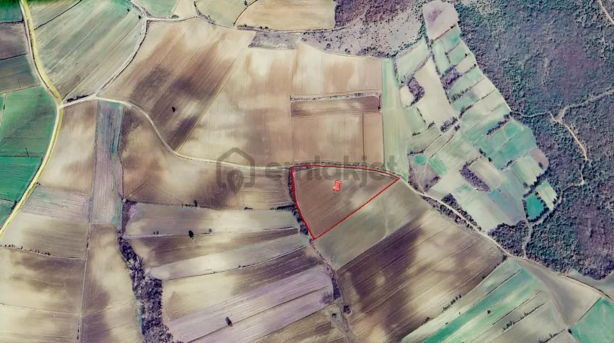 Malkara Kadıköyde Satılık 15 Dönüm Tarla - 4