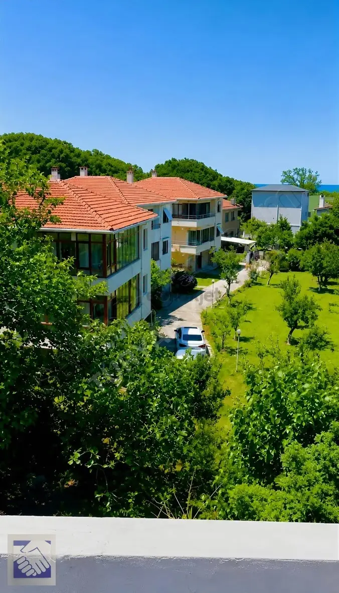 *şile *alacalıda* İmarlı-villa Arazisi - 4