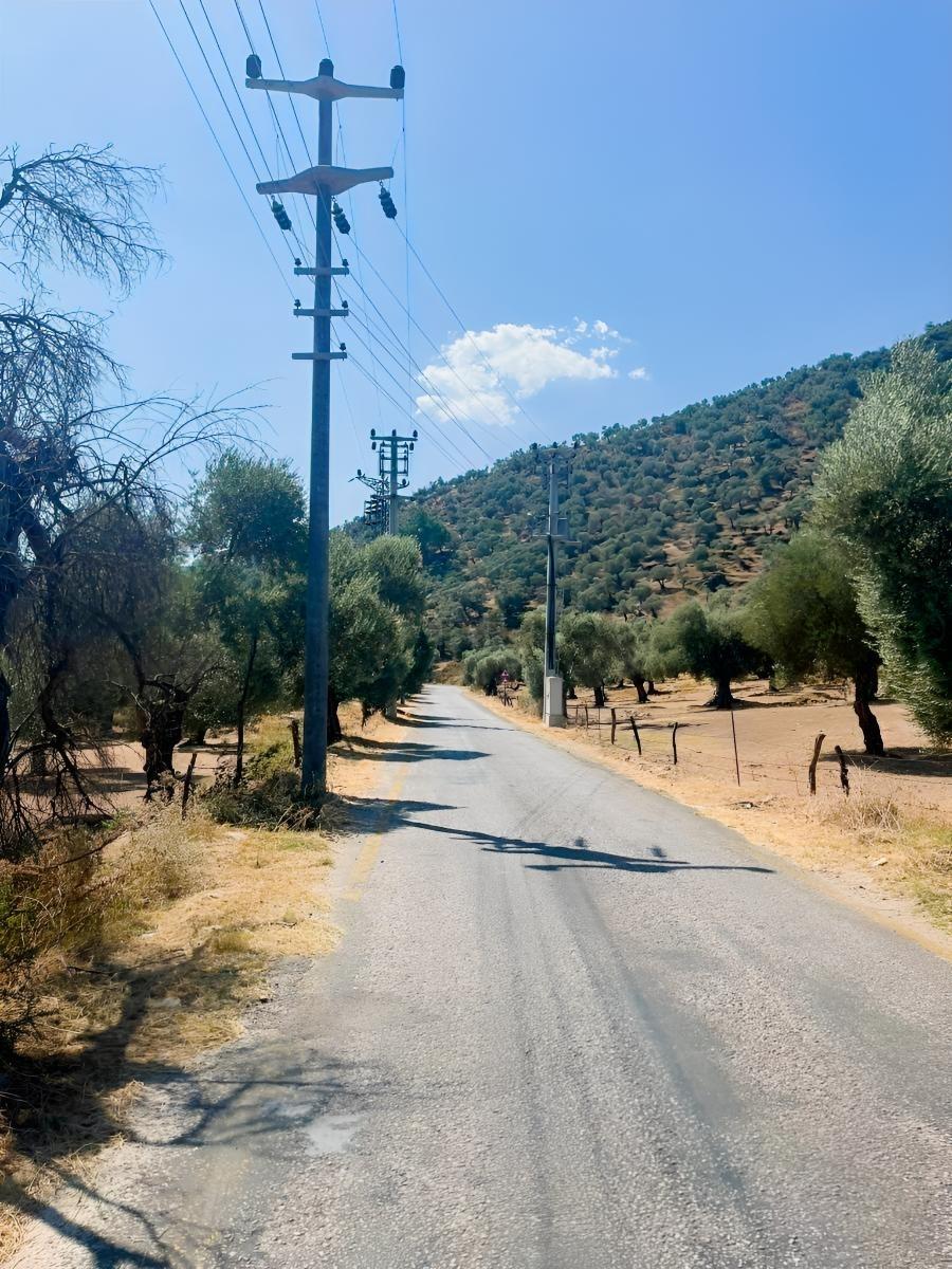 Hobi Amaçlı Satılık Zeytinlik - 3