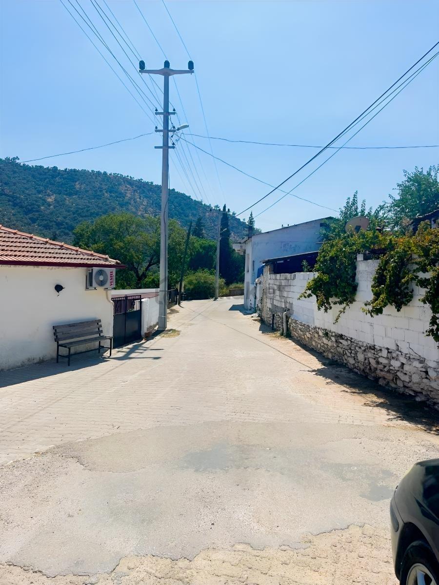Hobi Amaçlı Satılık Zeytinlik
