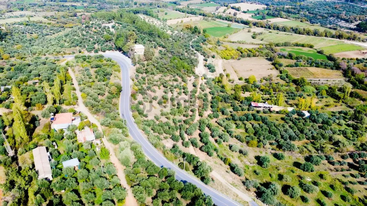 Acil!!! Karacasu Yenice İmarlı Villa Arsası - 6