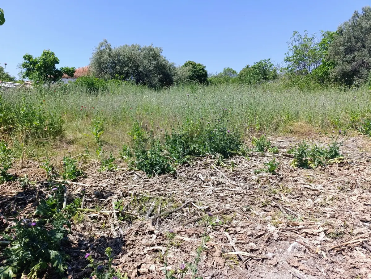 Yunusemre Gülbahçe'de 900 M2 Arsa - 4
