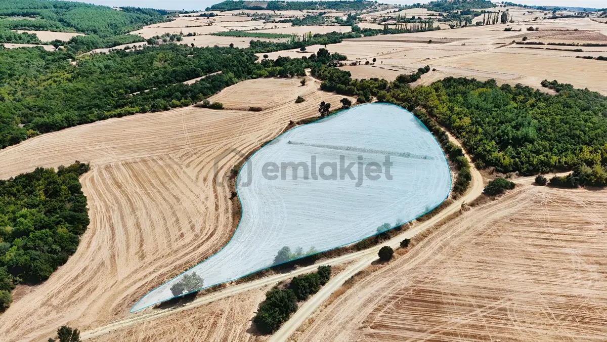 Alfa İnvest'den Yola Cepheli Satılık Tarla
