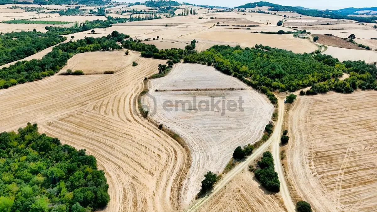 Alfa İnvest'den Yola Cepheli Satılık Tarla - 4