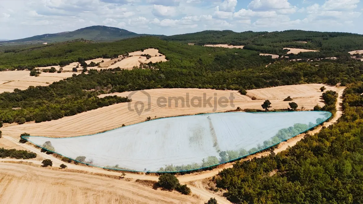 Alfa İnvest'den Yola Cepheli Satılık Tarla - 3