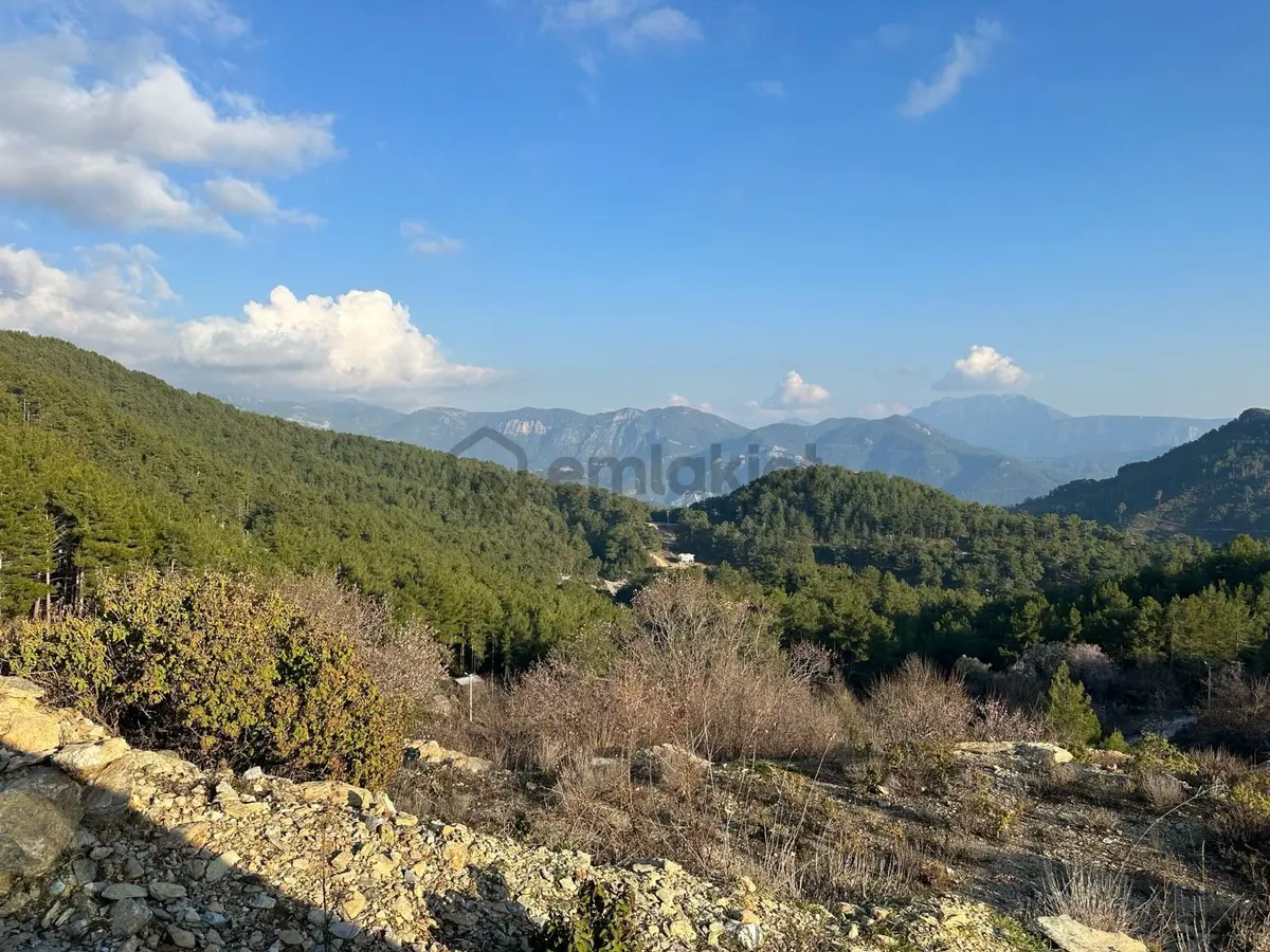 Sahibinden Alanya Meşeardı Satılık Tarla - 4