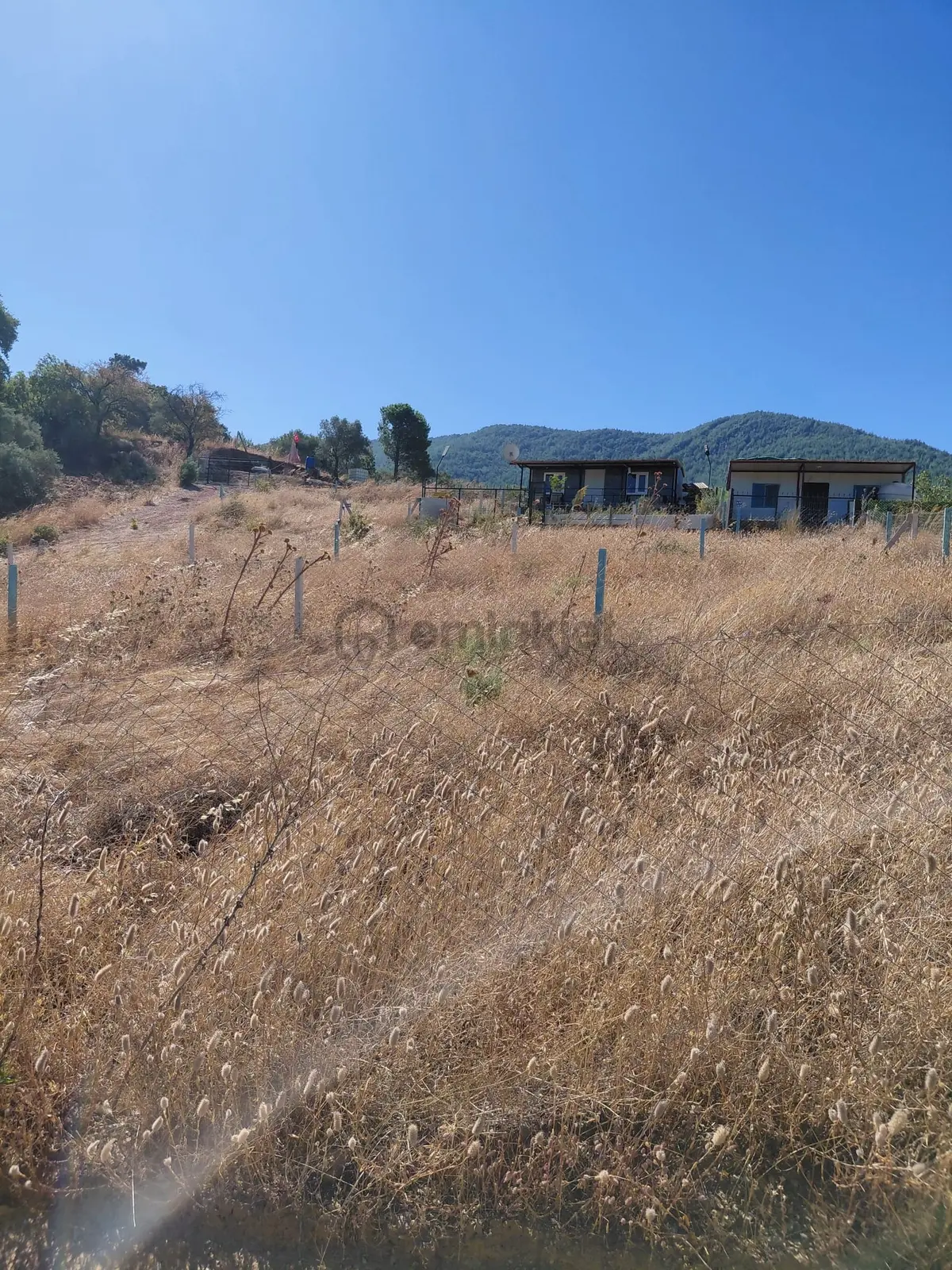 Kemalpaşa Yeşilköyde Satılık 210 M2 Bahçe - 18