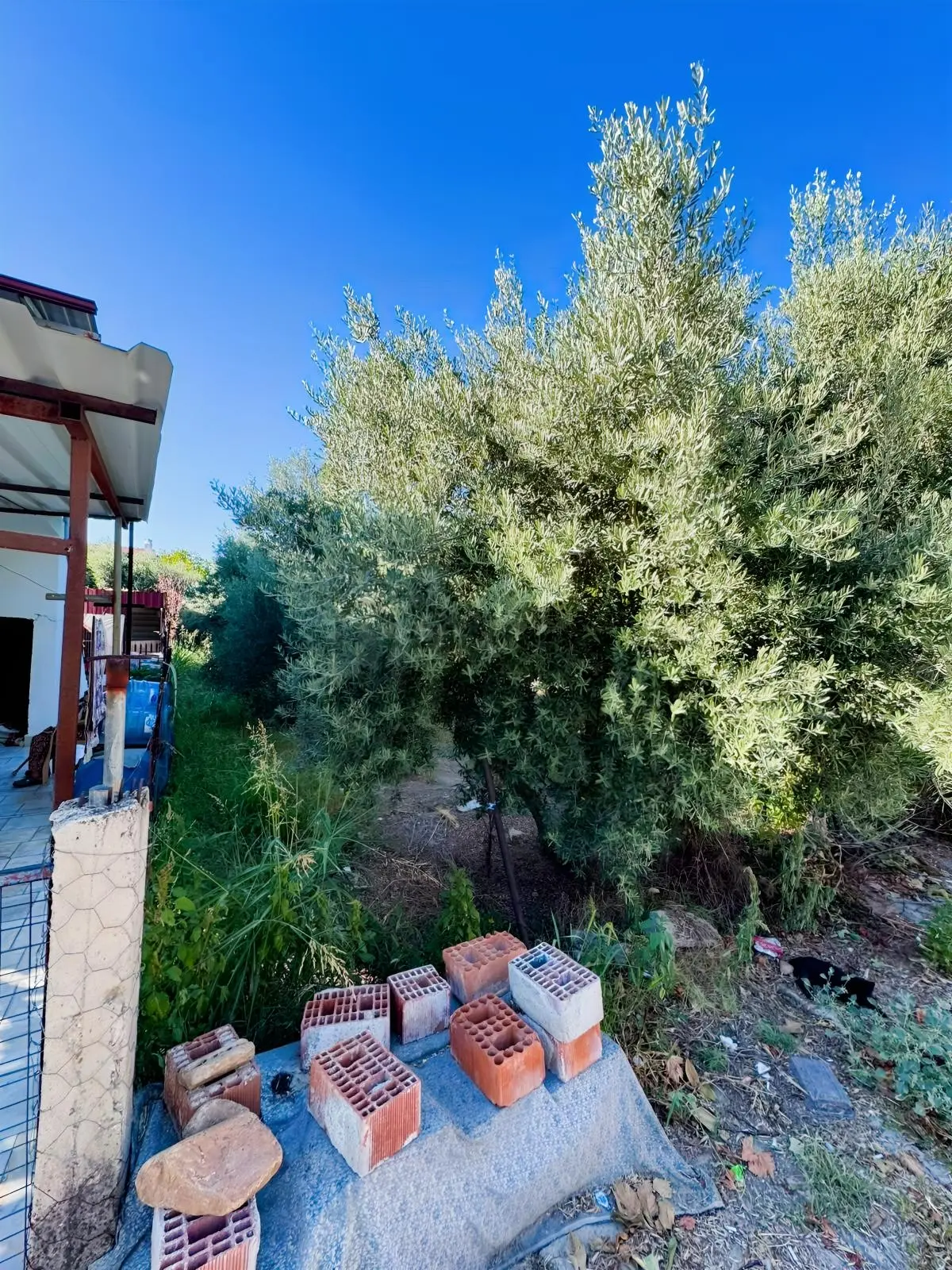 Bozarmut Yeni Mahallede Satılık 250 M² Yapı Haklı Arsa