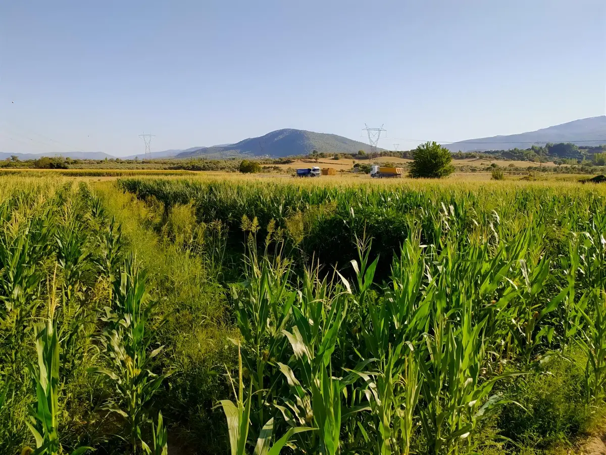Doğa İçerisinde Yaşam - 9
