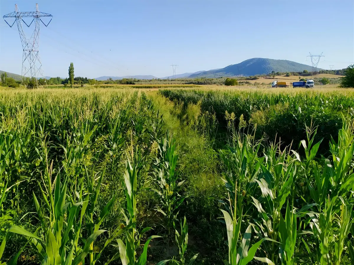 Doğa İçerisinde Yaşam - 7
