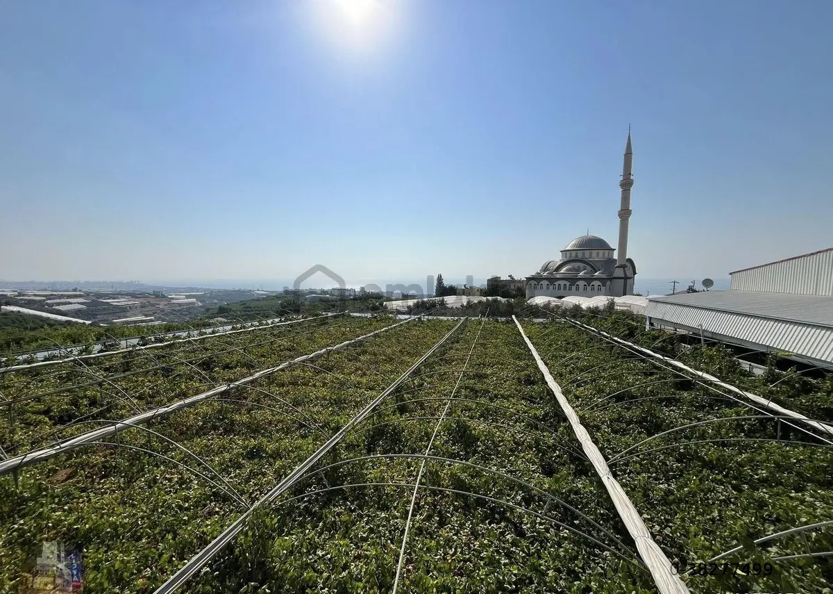 Kocahasanlı’da 2.290 M2 Satılık Arsa Ve Müstakil Ev - 4