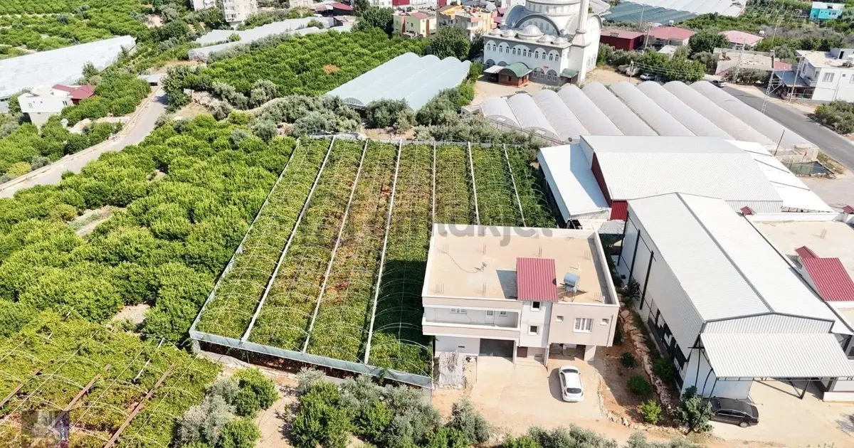 Kocahasanlı’da 2.290 M2 Satılık Arsa Ve Müstakil Ev - 21