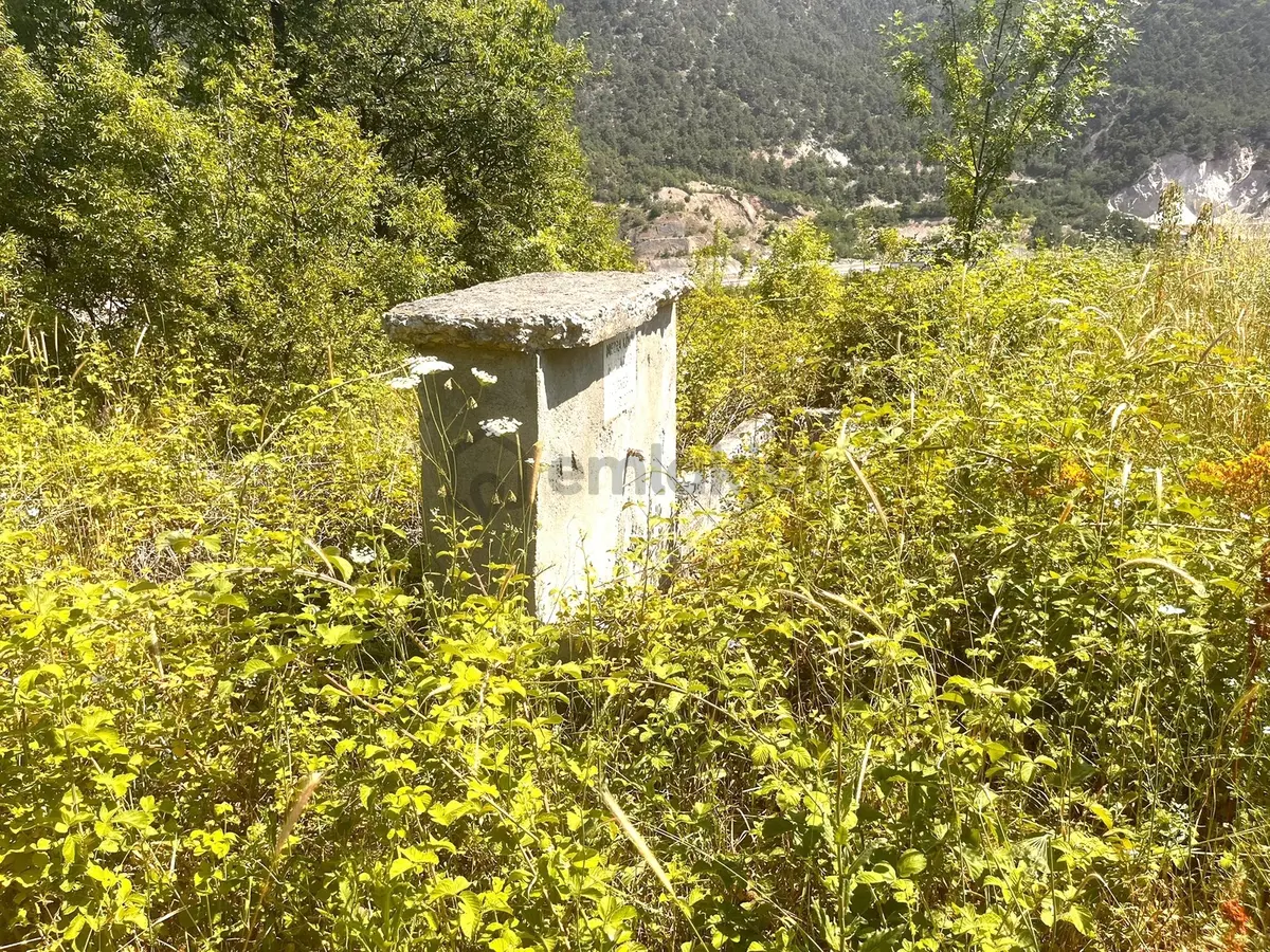 Amasya-erzincan Anayoluna Cephe Satılık Tarla - 3