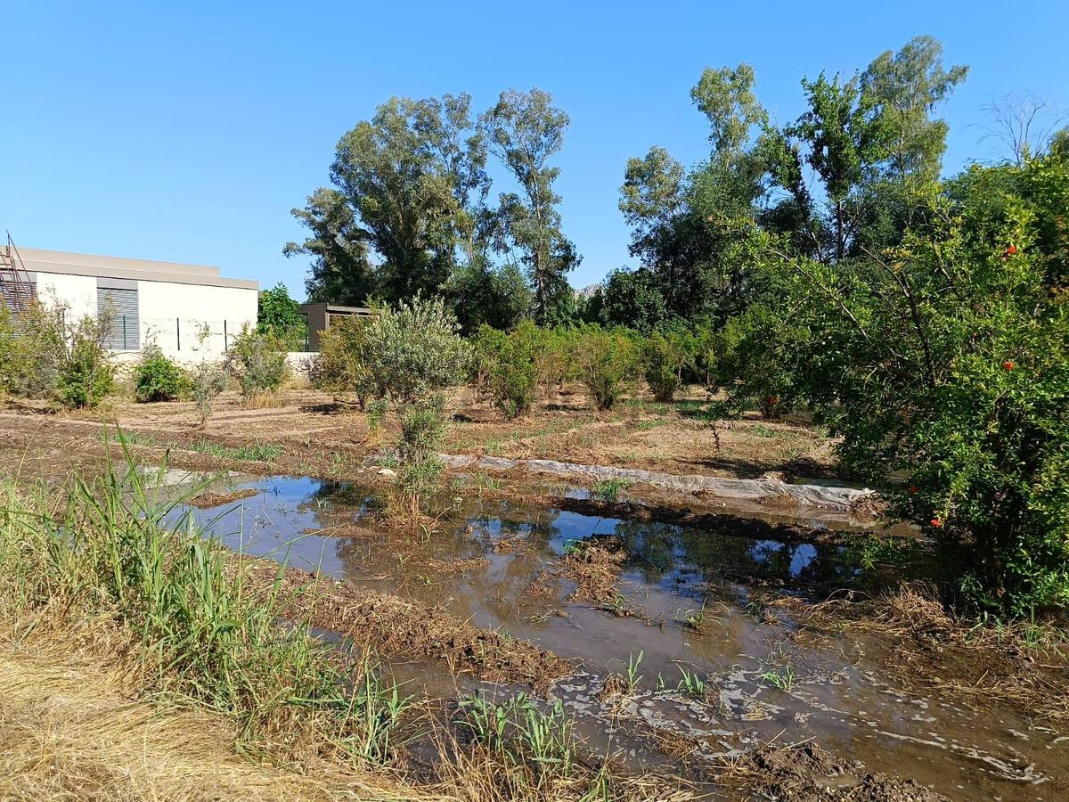 Antalya Gökçam'da Satılık 2648 M² Verimli Tarla - 32