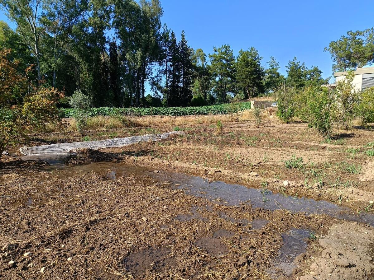 Antalya Gökçam'da Satılık 2648 M² Verimli Tarla - 40