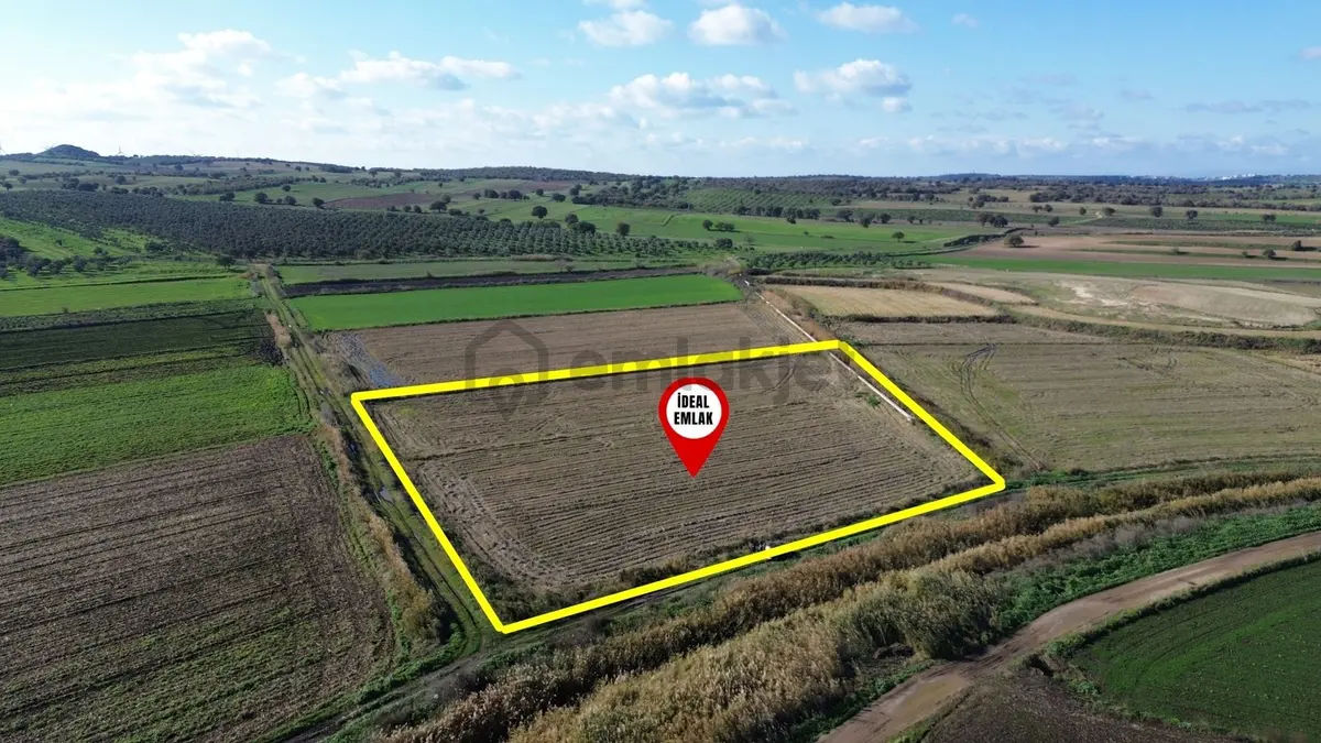 Çanakkale Ezine Mahmudiye De 10.114 M2 Satılık Tarla - 13