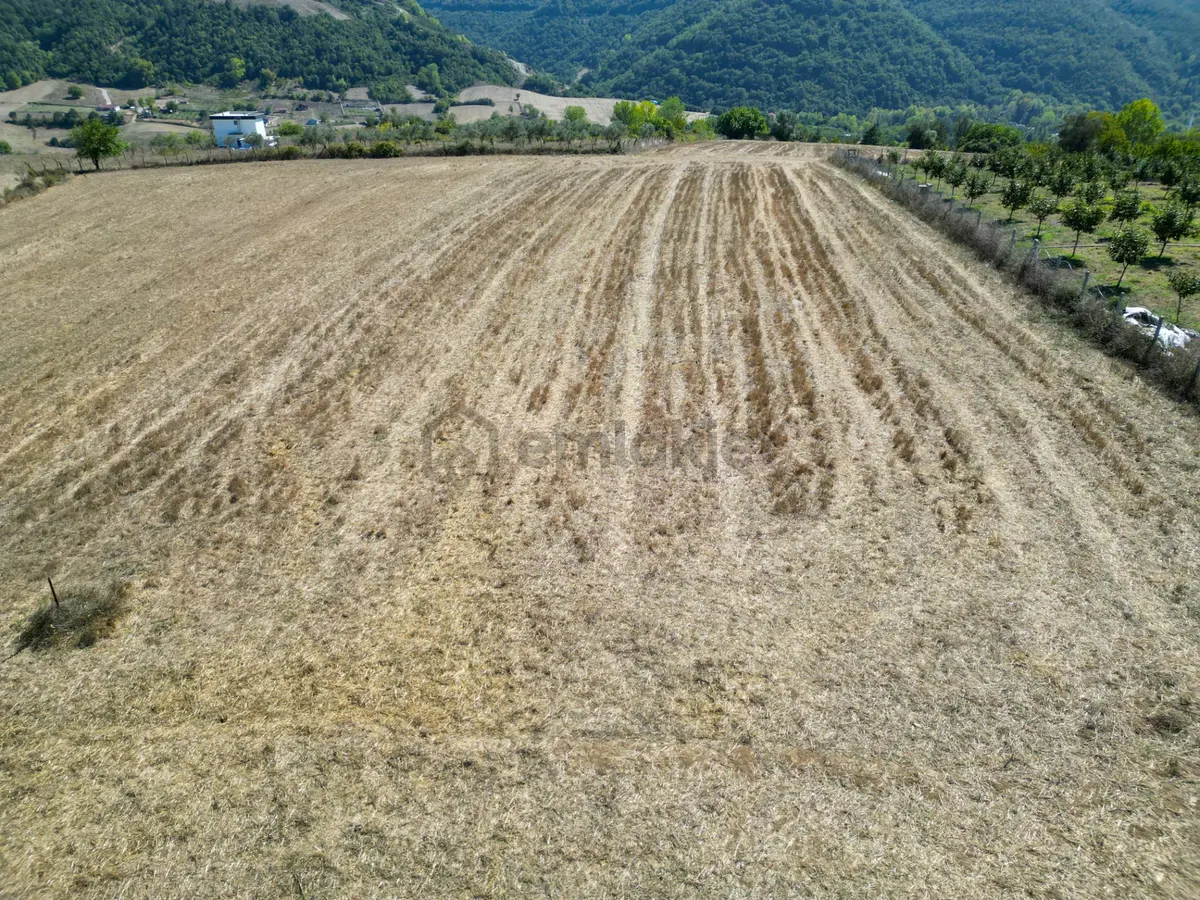 Uzmanlar'dan Karamürsel Avcıköy Satılık 2896 M2 Tarla - 8