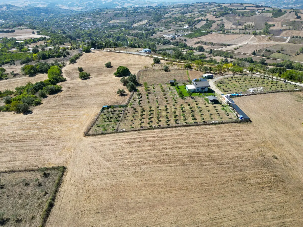 Uzmanlar'dan Karamürsel Avcıköy Satılık 2896 M2 Tarla - 7