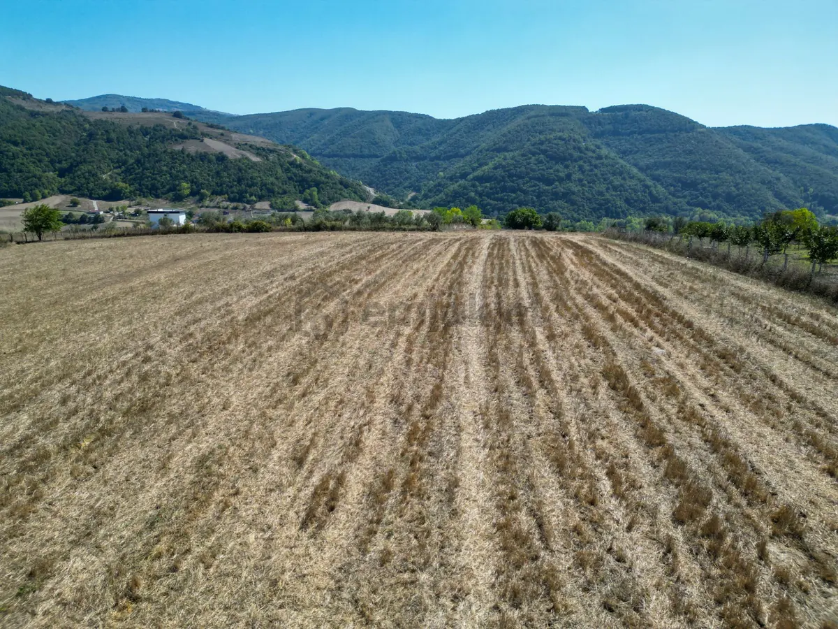 Uzmanlar'dan Karamürsel Avcıköy Satılık 2896 M2 Tarla - 10