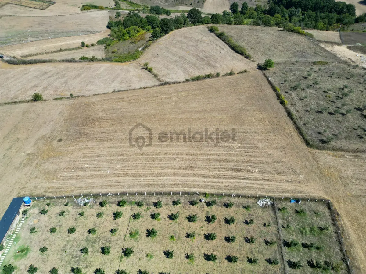 Uzmanlar'dan Karamürsel Avcıköy Satılık 2896 M2 Tarla - 4