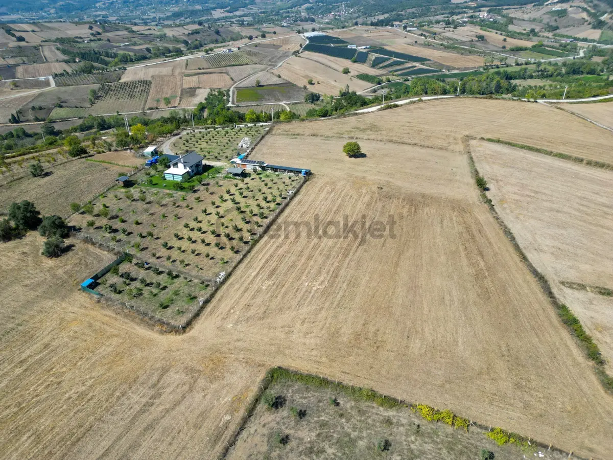 Uzmanlar'dan Karamürsel Avcıköy Satılık 2896 M2 Tarla - 6