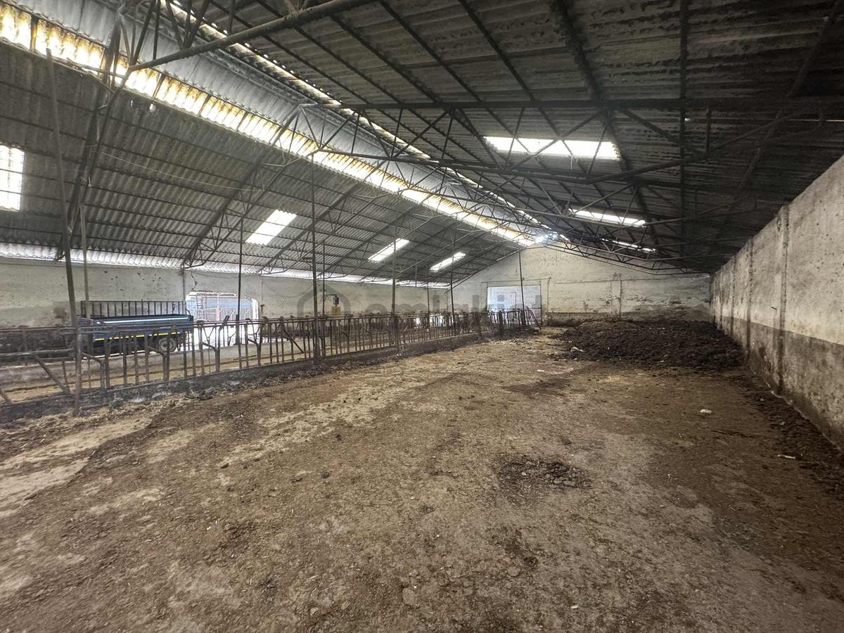 Yeniceabat Mah. Merkezde Kiralık 4000m2 İmalathane-depo - 5