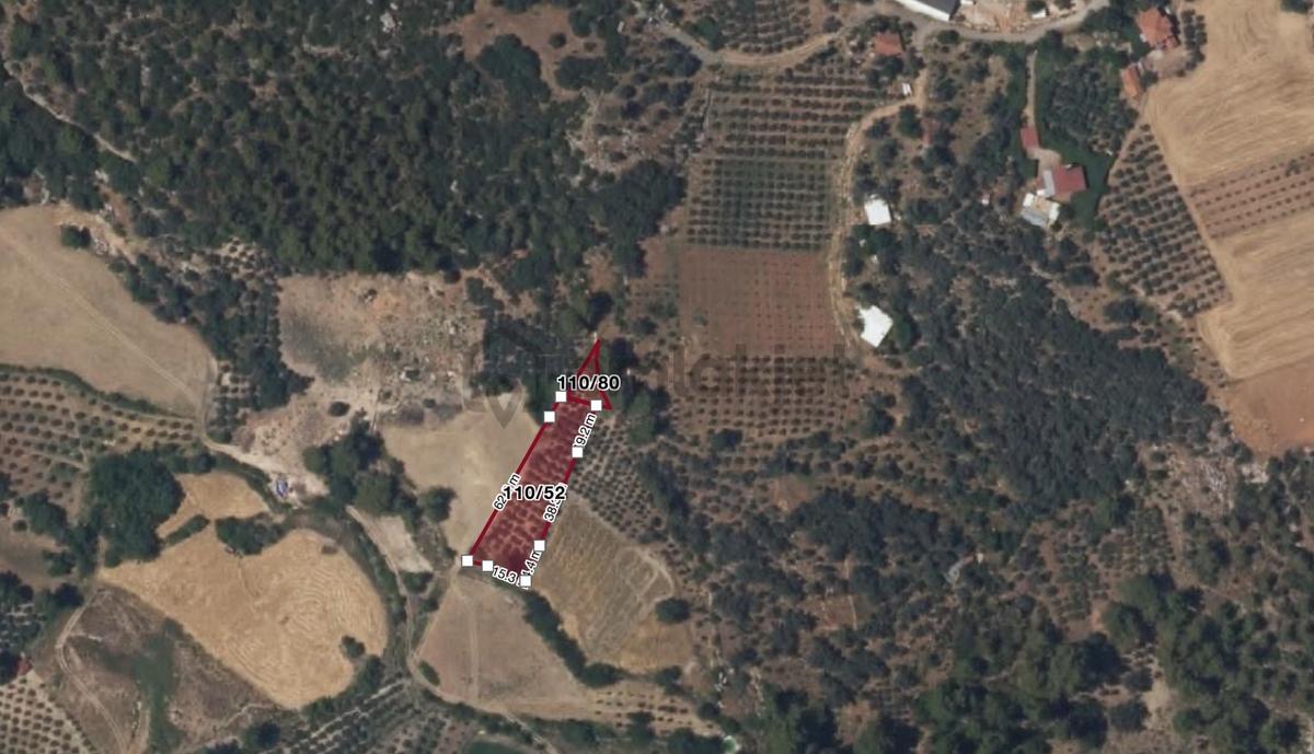 Mykonut'tan Seydikemer Bağlıağaç'ta 1497 M2 Satılık Tarla - 9