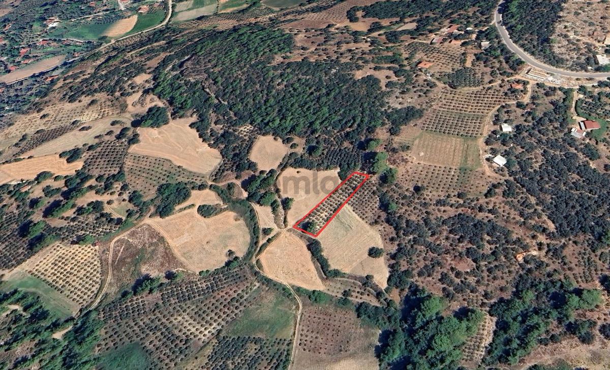 Mykonut'tan Seydikemer Bağlıağaç'ta 1497 M2 Satılık Tarla - 6