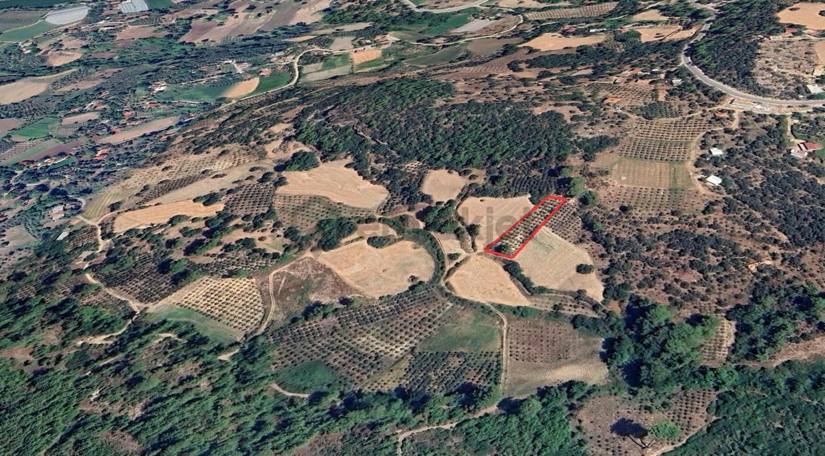 Mykonut'tan Seydikemer Bağlıağaç'ta 1497 M2 Satılık Tarla - 5