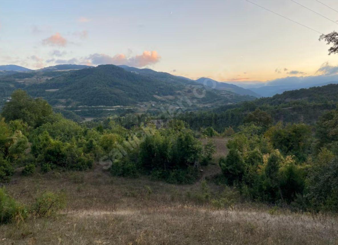 Sahibinden Sahibiyim İnşaat Ruhsatları Alınmış Ev Yapmaya Hazır 2700m2 - 7