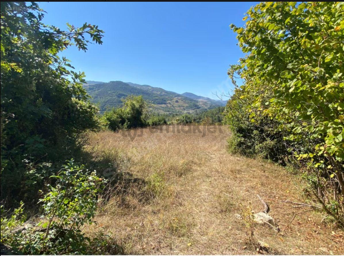 Sahibinden Sahibiyim İnşaat Ruhsatları Alınmış Ev Yapmaya Hazır 2700m2 - 3