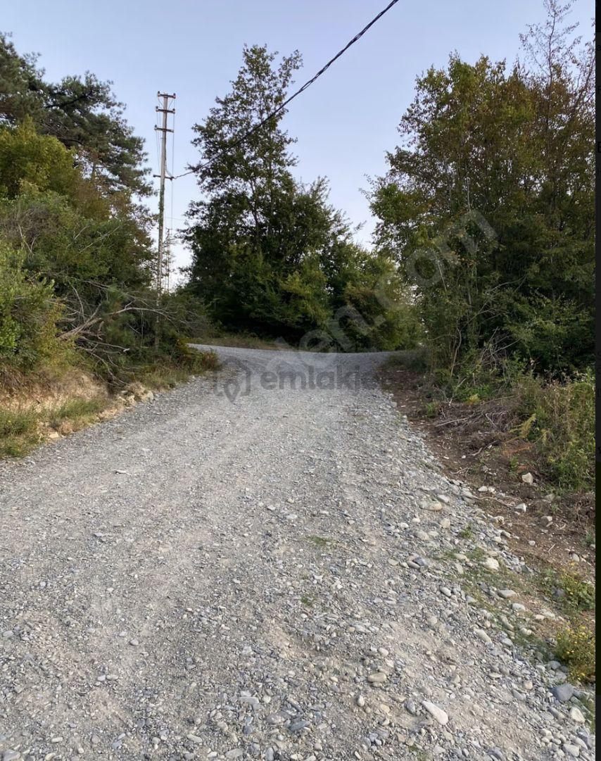 Sahibinden Sahibiyim İnşaat Ruhsatları Alınmış Ev Yapmaya Hazır 2700m2 - 4