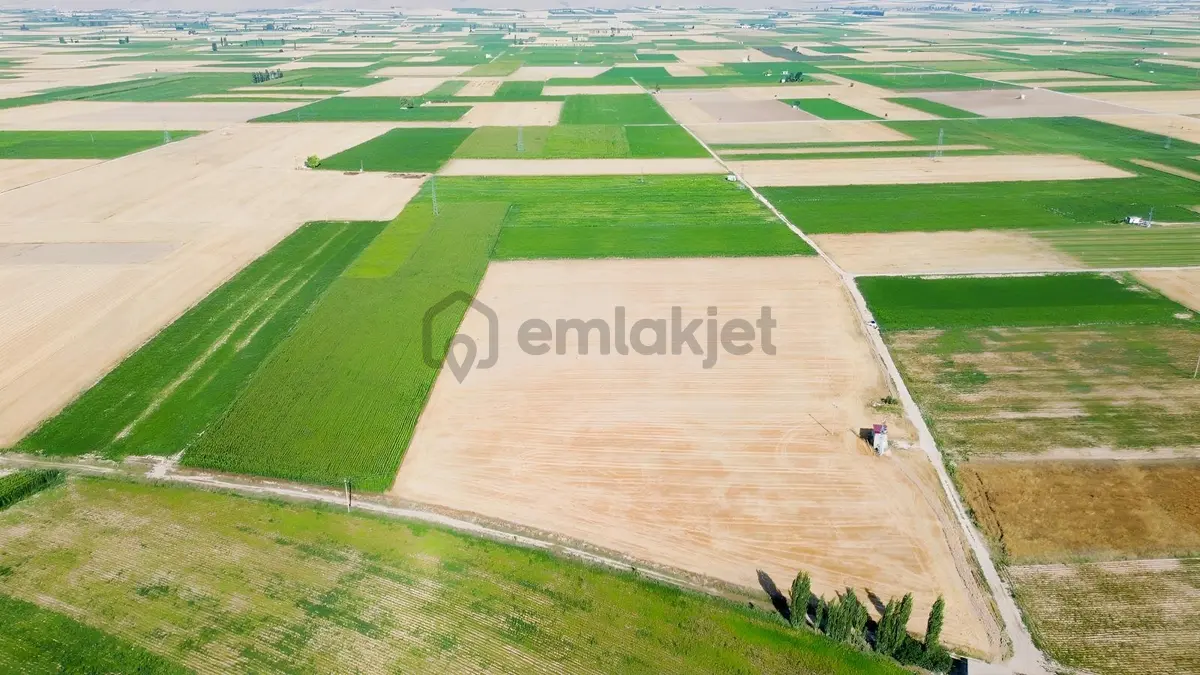 Kupp10 Emlak'tan Alay Kasabası Satılık Tarla - 4