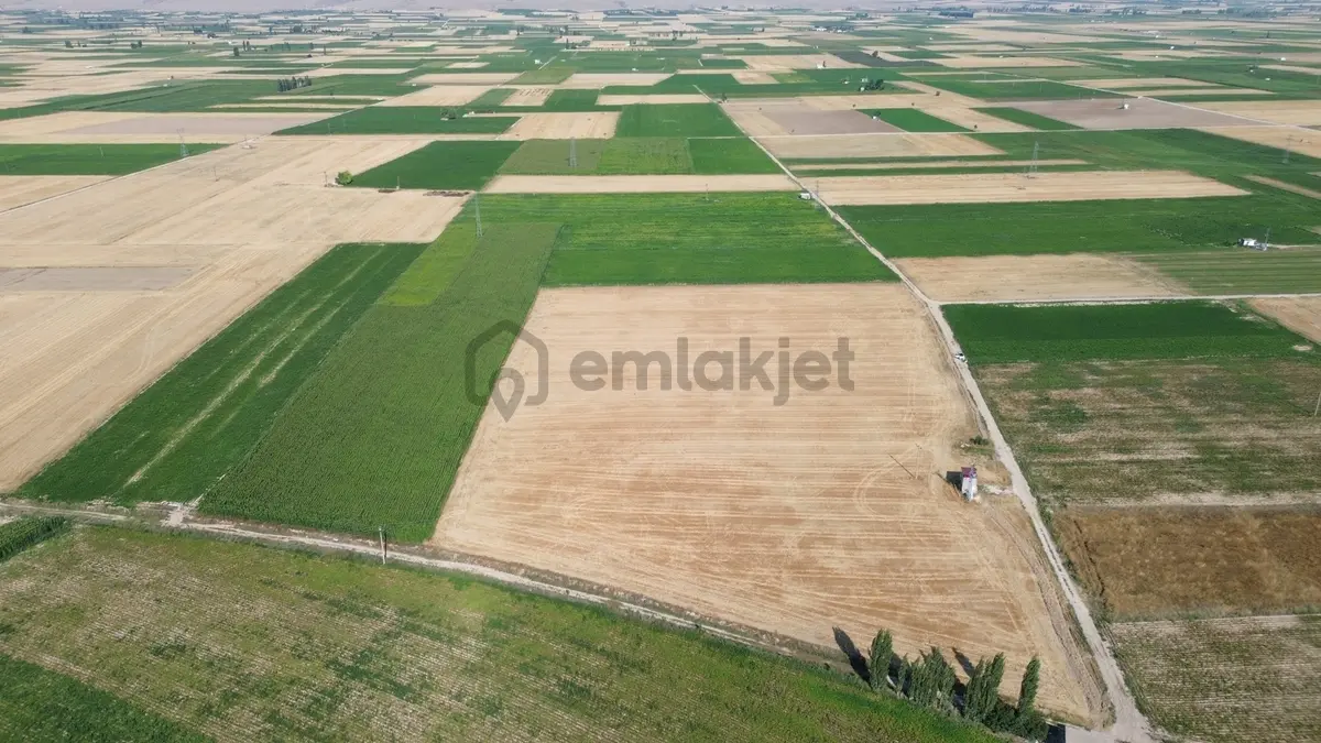 Alay Kasabası Satılık Tarla - 4